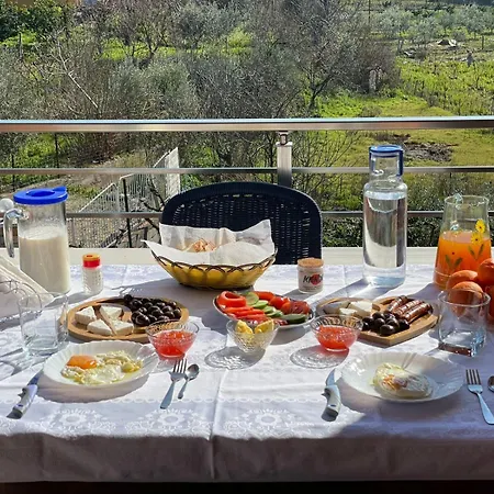 Country house Harmony Berat